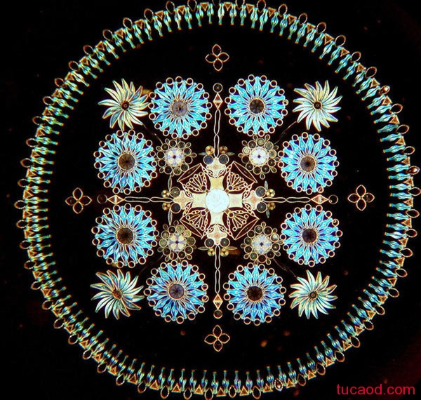 硅藻显微镜