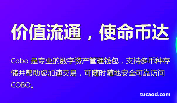 cobo数字钱包怎么样