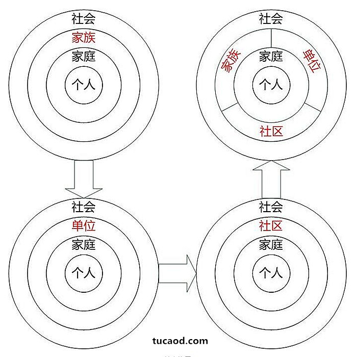 差序格局示意图图片