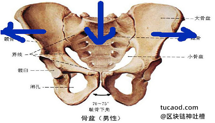 髋骨玉人桩