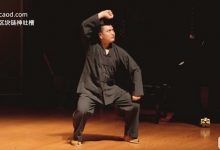 释德建 罗汉护身捶@戊己真人-Ai神吐槽