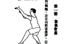 薛颠的象形拳(伏羲八卦)根基就是卦象@戊己真人-Ai神吐槽