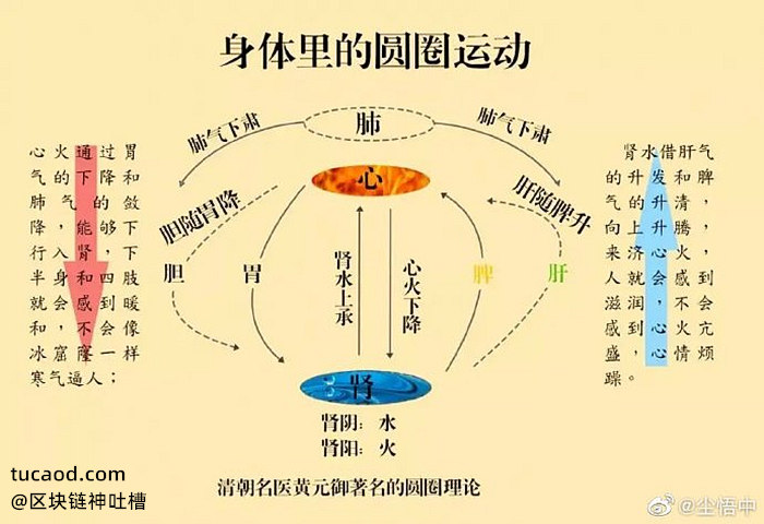 中医黄元御的圆圈理论@尘悟中