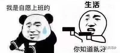 打工人自愿上班