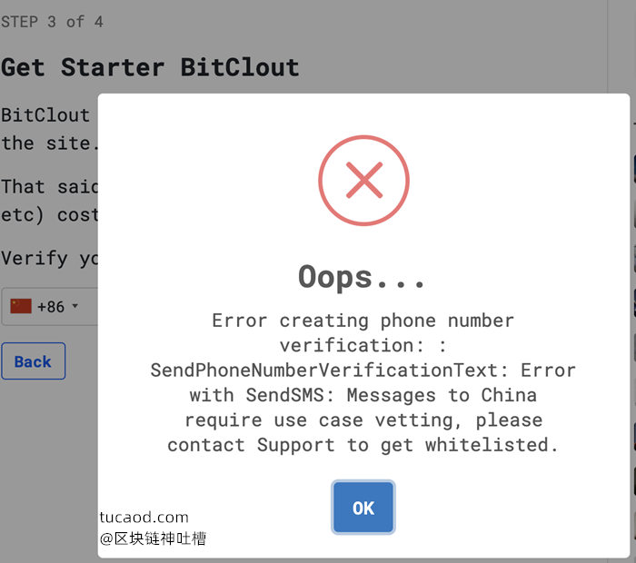 验证手机号，国内+86开头手机无法注册，会弹出以下提示，可用点 skip 跳过-BitClout