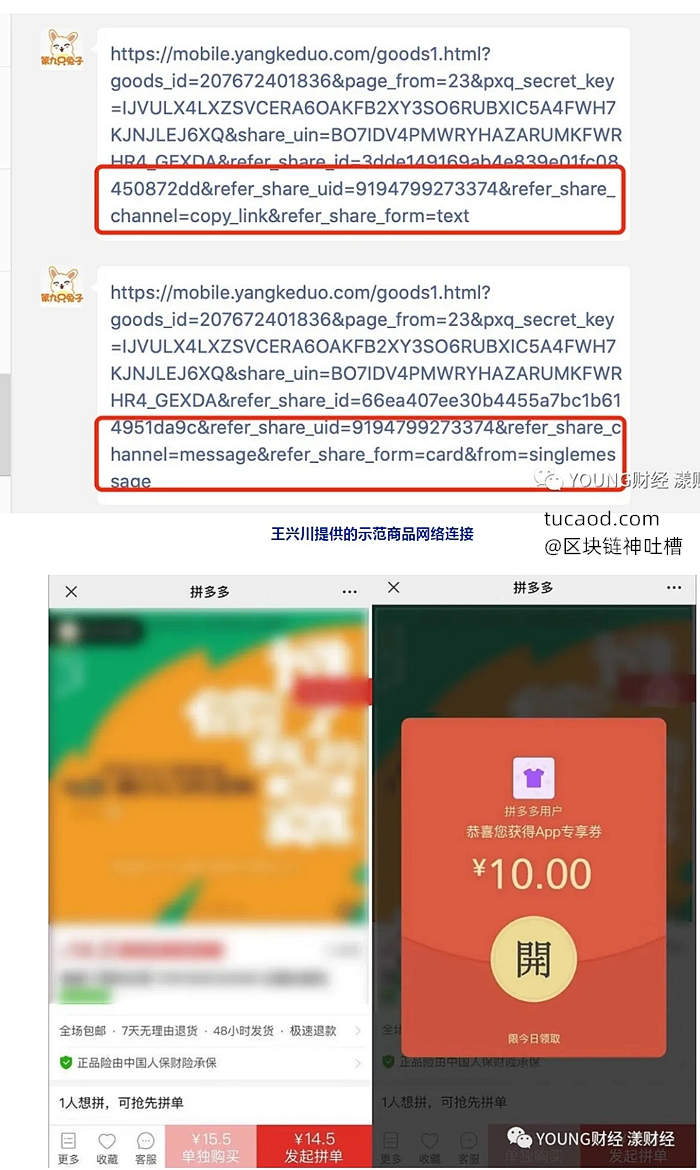 起诉拼多多-王兴川提供的示范商品网络连接