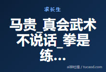 马贵_真会武术不说话_拳是练出来的@戊己真人-Ai神吐槽