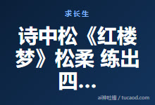 诗中松《红楼梦》松柔 练出四季阴阳真意解放才叫松开-林黛玉香菱-唐诗@戊己真人-Ai神吐槽