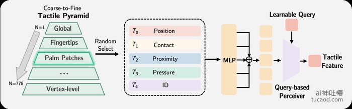 通用触觉编码器:粗到细的触觉金字塔 + MLP + Query-based Perceiver 输出触觉特征
