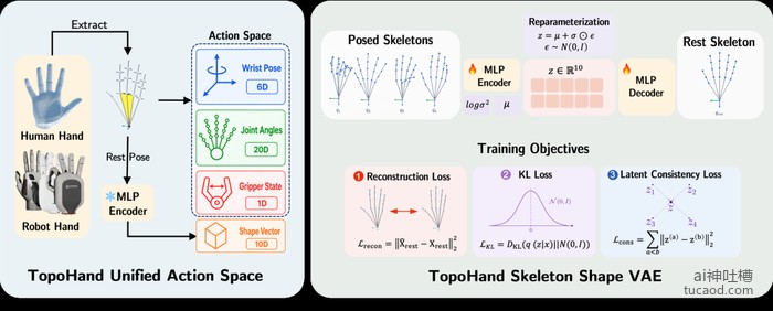 TopoHand 统一动作空间:手腕位姿+关节角+夹爪状态+形状向量,Skeleton Shape VAE