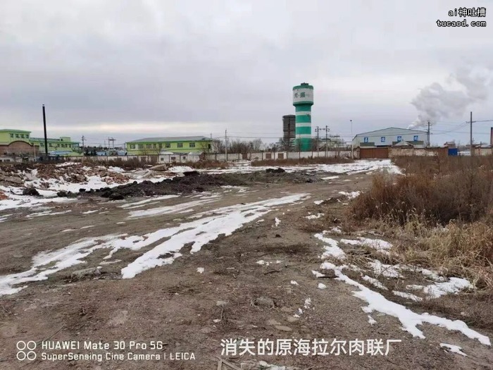 消失的原海拉尔肉联厂厂区实景，远处可见绿白相间的厂区水塔