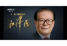 什么是文献纪录片？十二集文献纪录片《江同志》@传达室-Ai神吐槽