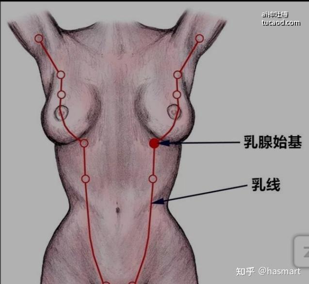 人体经络经脉如何发现的？@hasmart｜.jpg?source=3af55fa1