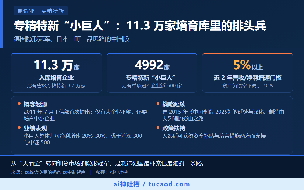 专精特新“小巨人”:11.3 万家培育库里的排头兵 信息图