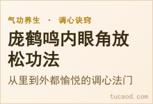 庞鹤鸣的内眼角放松功法:一个从里到外都愉悦的调心诀窍@练功运气@经史博物馆-Ai神吐槽