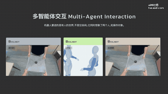 CALABOT 多智能体交互演示:协作搬运场景