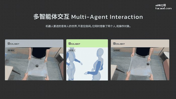 CALABOT 多智能体交互演示:协作搬运场景